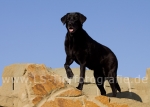06 Sina on the Rock